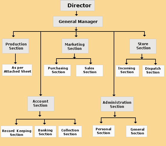 Organizational Chart – Janta Cable